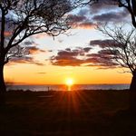 Michael Custer - @michaelcuster1785 - Instagram
