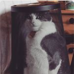 Michael Custer - @mjc642 - Instagram