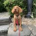 Michael Cusumano - Facebook