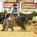 Michael Cooper Cutting Horses - Facebook