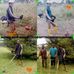 Michael Dodd Machine Grass Cutting Services - Facebook