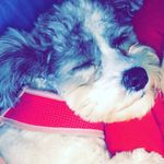 Michael Czyzyk - @michael_czyzyk_ - Instagram