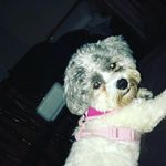 Michael_czyzyks - @michael_czyzyk - Instagram