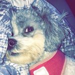 Michael.czyzyk - @michael.czyzyk - Instagram