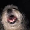 michael_daddona - @michael_daddona - TikTok