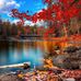 Michael Dagg - Facebook