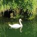 Micheal Dagg - Facebook