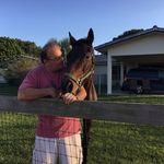 Michael Daher - @michael.daher.102 - Instagram