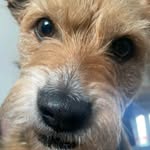 michael dakin - @mdakinmarch20 - Instagram