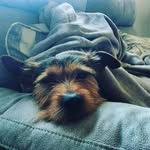 michael daly - @michaeldaly6632 - Instagram
