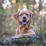 Michael Dammann - @michael.dammann - Instagram