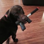 Michael Dampier - @michael_dampier - Instagram