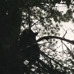 Michael Danforth Jr. - @danforthjr.m - Instagram