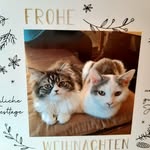 Michael Danner - @michaeldanner22 - Instagram