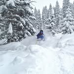 Michael Dansky - @michaeldansky - Instagram