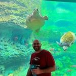 Michael Stephen Daquila - @michadaq - Instagram