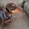 Michael Darrell Sturgill - @michael.darrell.s - TikTok