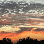 Joseph Michael darst - @josephmichaeldarst - Instagram