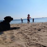 Michael Dau - @michpet - Instagram