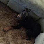 michaeldauer - @michael.dauer6 - Instagram