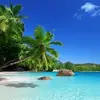 Michael Dauphin - @michael.dauphin - TikTok