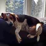 Michael Dauphin - @dauphin2494 - Instagram