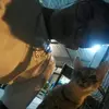 Michael Dario - @michaeldario3 - TikTok