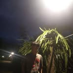 Michael Davalus - Facebook
