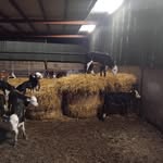 Michael Davern - @davern730 - Instagram
