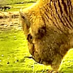 Michael daversa - @michael_bish_daversa - Instagram