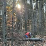 Michael D’Aversa - @foraged_woodware - Instagram