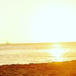 Michael Davidov - @michael_davidovich - Instagram