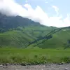 michaeldavidovich1503130 - @michaeldavidovich1503130 - TikTok