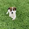 michael_davy - @michael_davy - TikTok