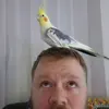 Dearyme - @michaeldeary5 - TikTok
