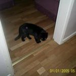 Michael James Deary - @michael.james.deary - Instagram