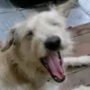 Michael Debusk - @michaeldebusk373 - TikTok