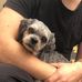 Michael Dechow - Facebook