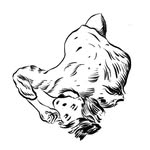 Michaël De Clercq - @michael_de_clercq - Instagram