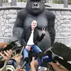 Michel Declercq - @micheldeclercq - TikTok