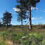 Michael Decoteau - @decoteau8837 - Instagram