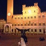 Michael DeDonato - @miked8286 - Instagram
