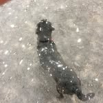 Michael DeHaven - @woofworksstudios - Instagram