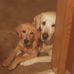 Michael DeHaven - Facebook