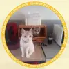 Michael Delagrange - @michaeldelagrange5 - TikTok