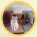 Michael Delagrange - Facebook