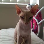 Michael Delbridge - @delbridge9119 - Instagram