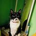 Michael Delfin - Facebook