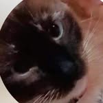 Michael de Lima de Souza - @michaeldelimadesouza - Instagram