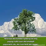 Michael Delmonte - Facebook